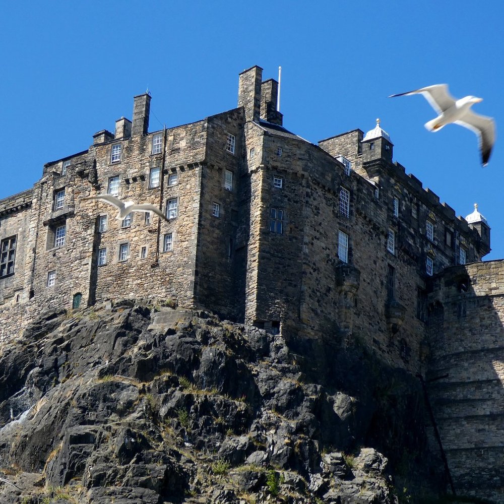 Meet your Posher, Pat